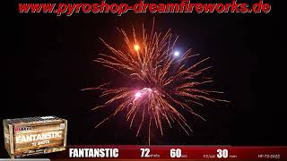 Fantastic HF722422  RIAKEO FIREWORKS DREAMFIREWORKS wwwPYROSHOPDREAMFIREWORKSDE [upl. by Chura]