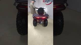 300cc new model 2024 big 42 off road atv quad for adult [upl. by Mitzie]