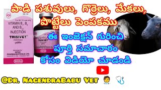 Tribivet injection uses in Telugu Tribivetinjectionveterinarymedicine dairyanimal sheep goat [upl. by Latterll]