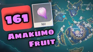 Amakumo Fruit Seirai Island  Genshin Impact [upl. by Aeriela408]