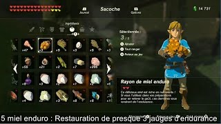 Le plat maison de Ghenkott  Ou trouver une perche enduro  Zelda Tears of the Kingdom [upl. by Cordelia247]