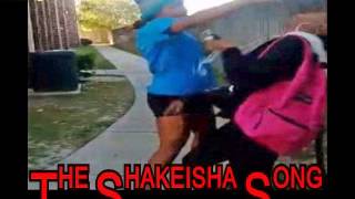 Sharkeisha Fight Remix  Dont kick her [upl. by Folsom]