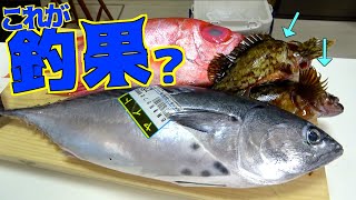 全身大トロの魚と高級深海魚が美味すぎた！！ [upl. by Wyly259]