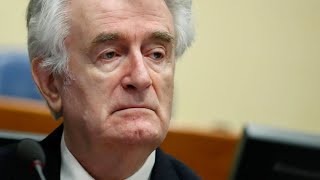 Lebenslange Haft für Radovan Karadžić [upl. by Larue]