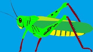 Sonido del saltamontes  Sound of the Grasshopper [upl. by Noskcire]