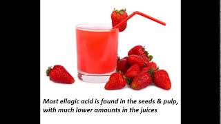 Ellagic Acid  Sources Occurance and Benefits [upl. by Nnaitsirk]