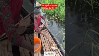 మా చెల్లితో మొదటిసారి చేపల వేటfishing fishingvideo fishinglifefishingvlogs ytshorts ytshorts [upl. by Namar894]