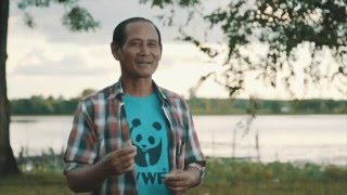 WWF Thailand  Wetlands Beung Kong Long [upl. by Orford]