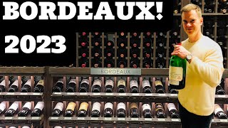 2023 Bordeaux 11 BEST BUY Wines [upl. by Omero]