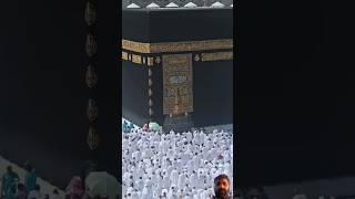 Kaise khubsurat lag rahe hain umra ke azadi ke liye jaane wale log shaukat daha 10 [upl. by Ailla61]