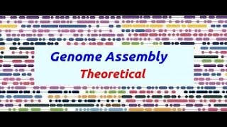 Genome Assembly Theoretical [upl. by Leuqram]