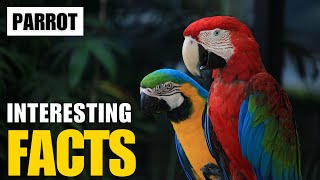 Exploring the Fascinating World of Parrot  Interesting Facts  The Beast World [upl. by Yaja]