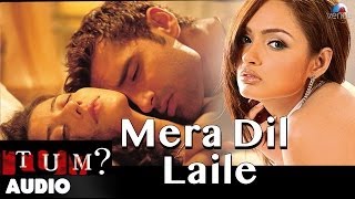 Tum  Mera Dil Laile Full Audio Song  Karannath Natanya Singh [upl. by Hamer]