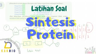 Sintesis Protein  Latihan Soal [upl. by Arline341]