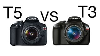 Canon T5 vs Canon T3 [upl. by Vine]