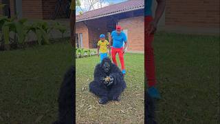 Tomando a Banana do Gorilla 😱😰🦍🐵 [upl. by Jeritah524]