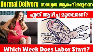 Last Month of Pregnancy Which Week Does Labor Start 3640 weeks Malayalam [upl. by Mike]