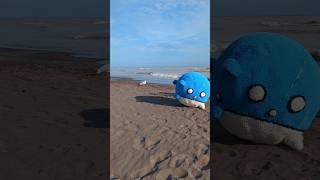 Spheals on a roll crochetpokemon spheal lifesize [upl. by Dewhurst]