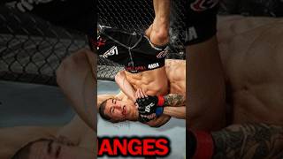 ufc latest fight 2024 ufc308 ufc307 ufc2024 mmamusic mmalive mmaguru knockouts ufc [upl. by Ajssatsan]