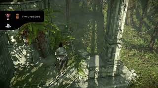 SHADOW OF THE COLOSSUS20241006152921 [upl. by Airol]