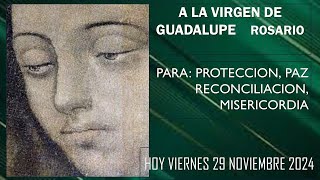 ROSARIO VIRGEN DE GUADALUPE HOY VIERNES 29112024  8 30 AM [upl. by Aiket]