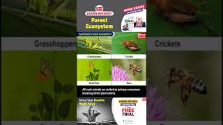 Forest Ecosystem  Learn Biology with Home Revise [upl. by Marabel]