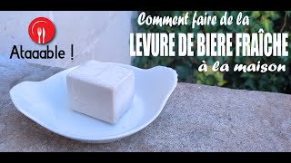 Comment faire de la Levure de Bière Fraîche à la maison [upl. by Feltie358]