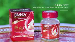 BRANDS Bird Nest  Corporate VTR for internal use [upl. by Wilda]