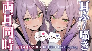 【ASMRKU100】分身した２人が両耳同時に耳ふーで寝かしつけ♡Ear blowing in both ears【沙汰ナキア睡眠導入】 [upl. by Cohlette]