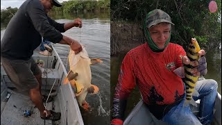 Acampando y pescando en el Rio Vita descubrimos nuevas especies y técnicas de pesca de supervivencia [upl. by Ardle]