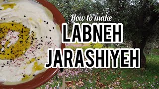 HOW LABNEH IS MADE  Shanineh amp Other Jordanian dairy produce  Factory visit [upl. by Rabush]