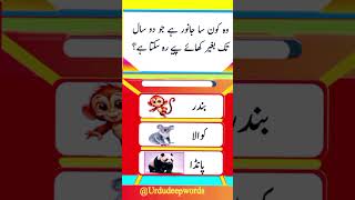 Unlimited urdu Gk Hindi Riddles Urdu knowledge trending islamicknowledge [upl. by Kaiser]