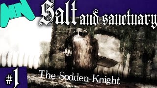 Salt and Sanctuary  The Sodden Knight vs Potatoes [upl. by Eilra995]