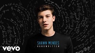 Shawn Mendes  Strings Official Audio [upl. by Marven]