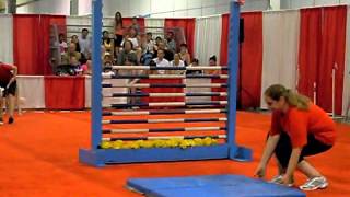 Dog Show  High Bar Jumping [upl. by Taylor]