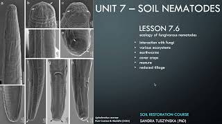 Lesson 76  Ecology of fungal feeding nematodes [upl. by Dosh]