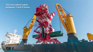 Bedeschi  fully erected shiploaders Barcelona [upl. by Quigley]