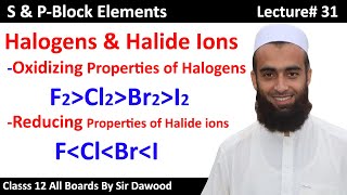 Halogens oxidizing agents and halide ions as reducing agents  S and Pblock elements lec 31 Last [upl. by Nalda]