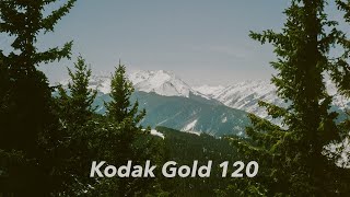 A Kodak Gold Road Trip [upl. by Lesly]