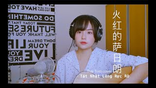 Tát Nhật Lãng Rực Rỡ  火红的萨日朗  Thái Trinh cover song ngữ Việt  Trung [upl. by Huxley]