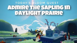 Bloom Quest Admire the Sapling in Daylight Prairie  sky children of the light  Noob Mode [upl. by Aubyn]