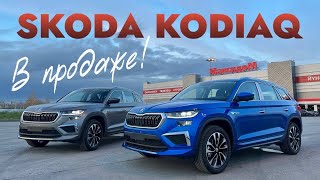 SKODA KODIAQ из КИТАЯ в ПРОДАЖЕ [upl. by Ashla]