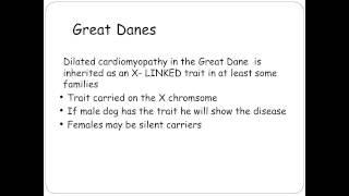 Inherited Cardiomyopathies  Understanding Unique Clinical and Genetics Aspects for Your Breed [upl. by Eylloh]