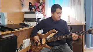 santeria bass cover [upl. by Ahtamas]