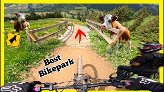 Best Bikepark EVER  Wiriehorn Weryhorny Trail😱💯  GoPro 11 [upl. by Aicilat]