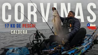 Pesca en kayak  CORVINAS  17 kg en una salida [upl. by Eeralih638]