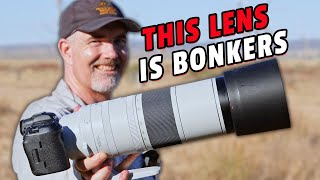 Canon RF200800mm For Wildlife  First Impressions [upl. by Welby]