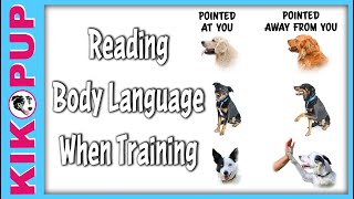 How to Read Your Dogs Body Language When Training [upl. by Cyn]