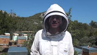 APICULTURE E03  Visite des essaims dabeilles hivernés Arpeli [upl. by Aelhsa]