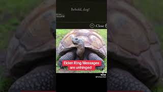 Elden Ring Messages Are Unhinged [upl. by Ihtac760]